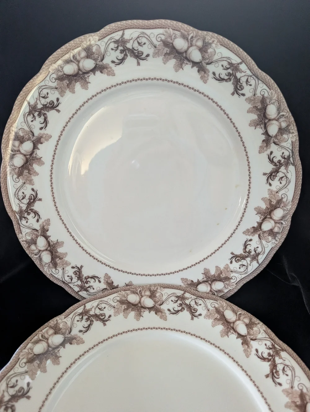 Williams Sonoma Cream Dinner Plates with Brown Floral Border